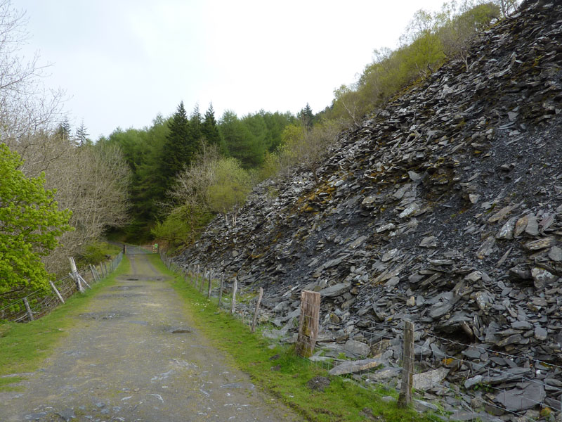 Dolwydellan Quarry